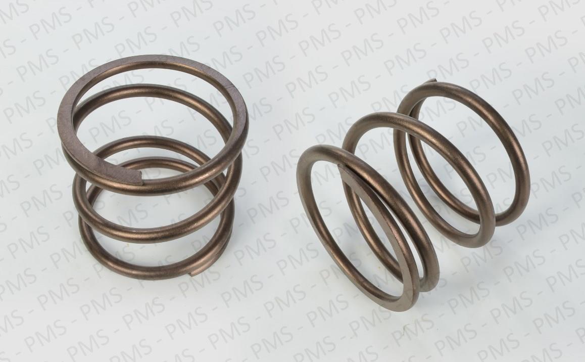 Carraro-Spring-Types--Oem-Parts