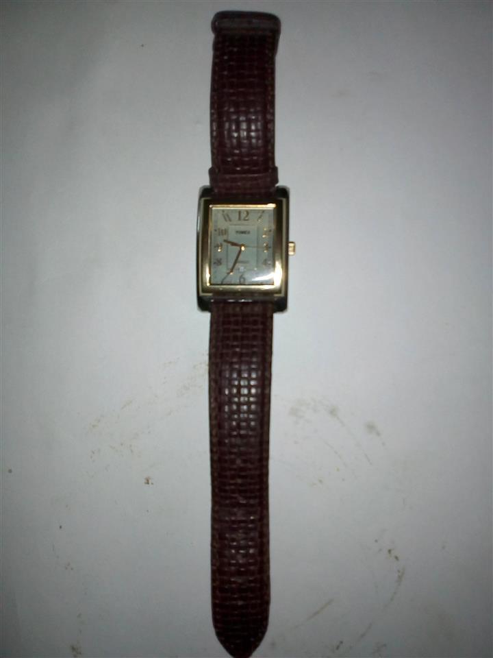 TIMEX-indiglo-sat
