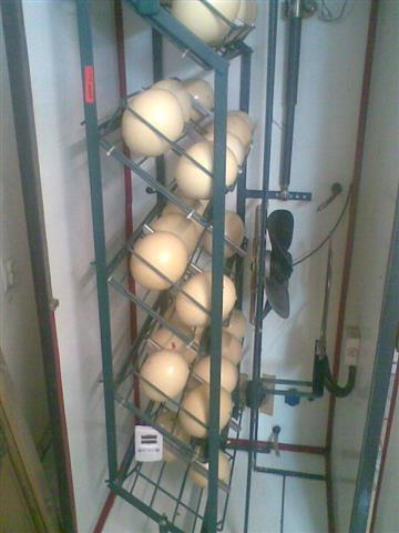 Inkubator