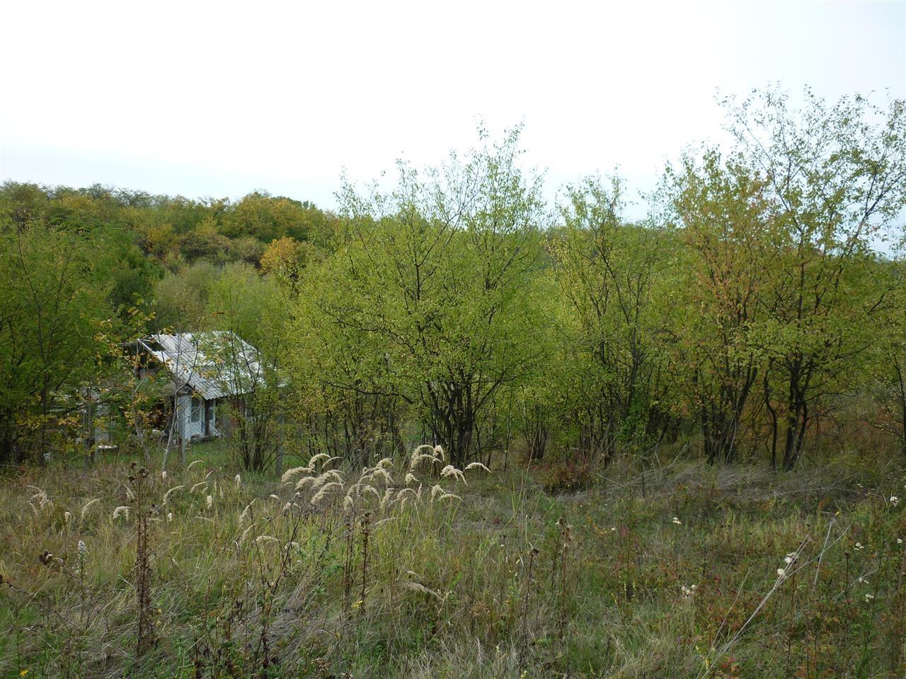 Zeleznik-15a