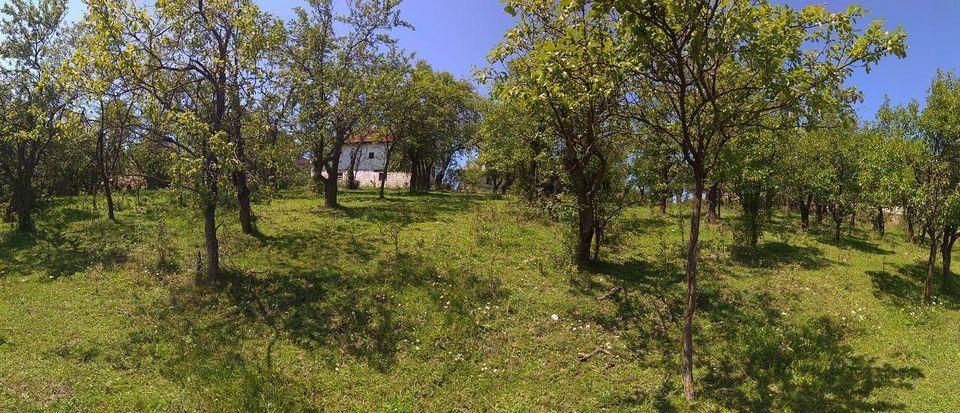 Parcela-na-prodaju--Kocarnik-