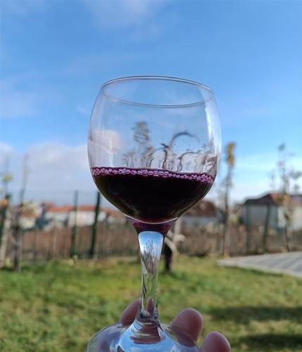 Domace vino 