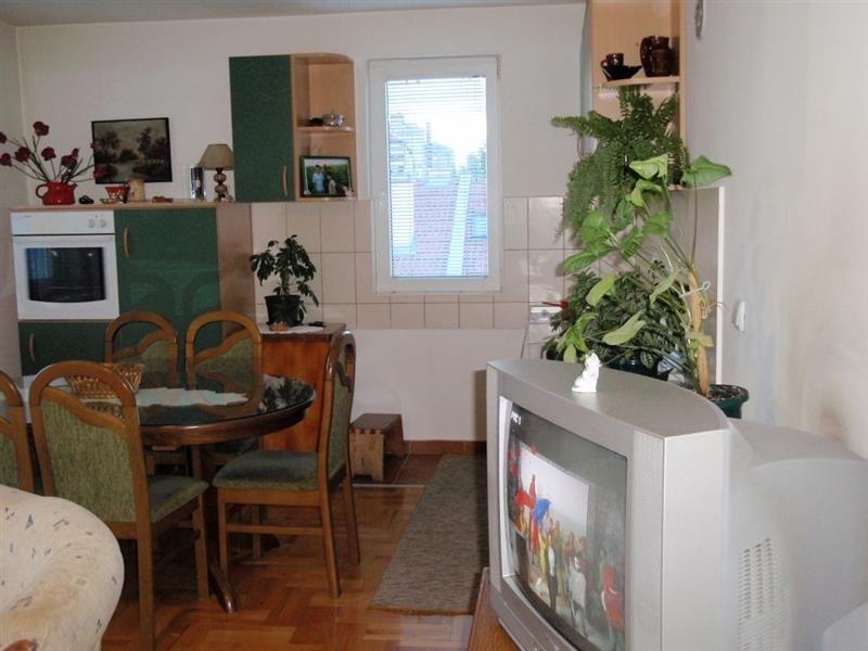 Nov-stan-u-rasadniku-Palilula
