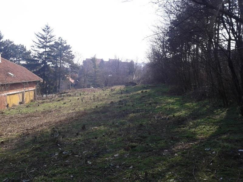 Plac-u-Jagodini
