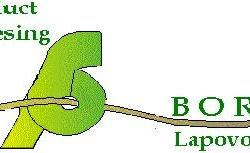 Bor plus