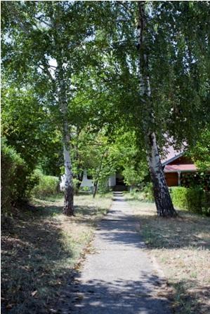 Kuca-u-Sokobanji
