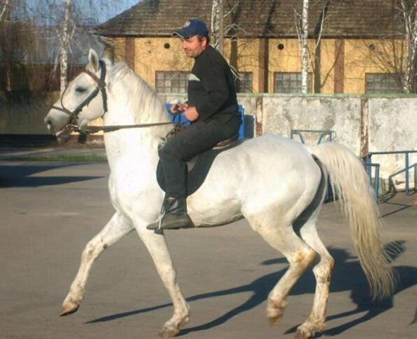 Pastuv
