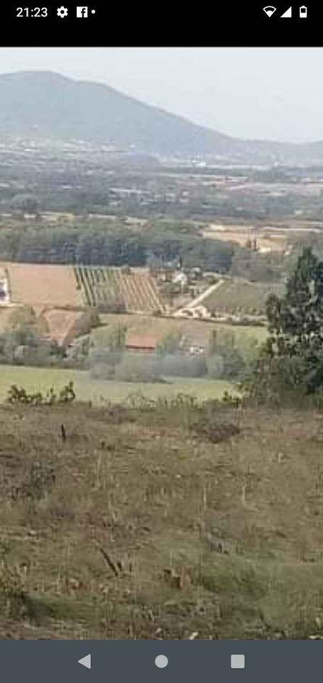 Njiva-i-plac