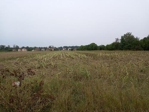 Plac-na-prodaju