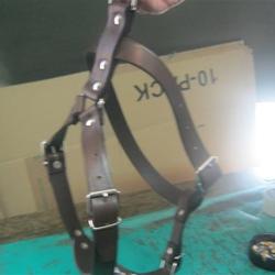 Maksimum