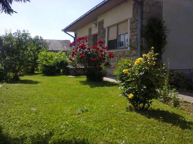 Kucu u Sapcu