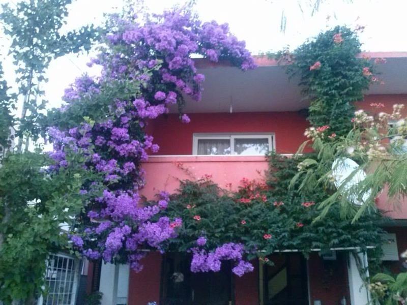 Izdajemo-povoljno-apartmane-u-Sutomoru