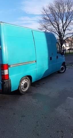 Pezo-Boxer-2-5D