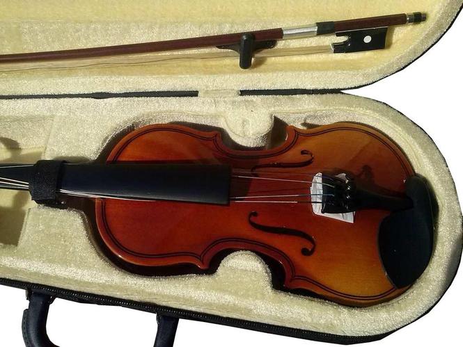 Violina