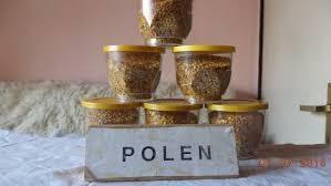 POLEN