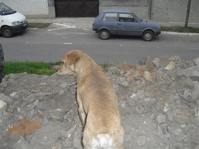 Yugo 45 -92