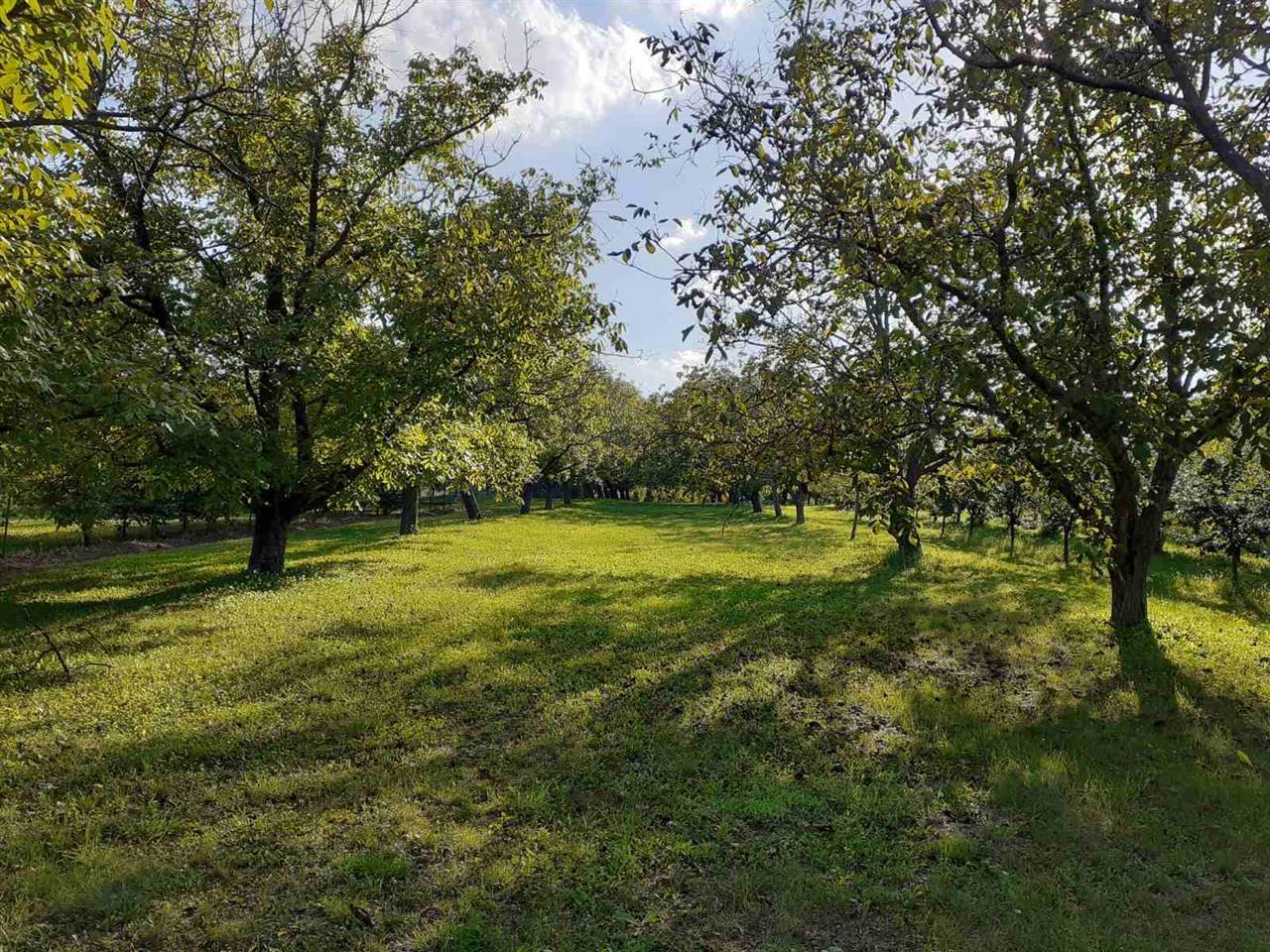 Ograđeni-plac