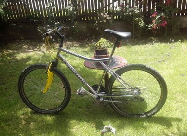 Capriolo-MTB