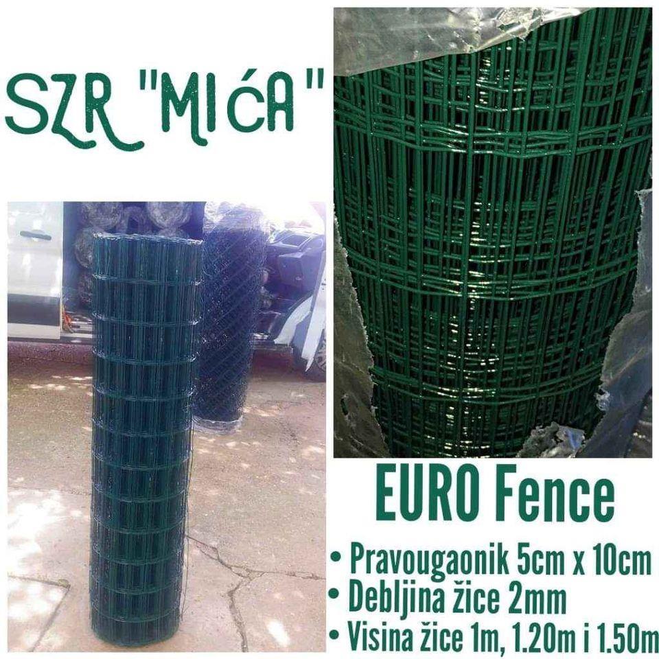 Zica