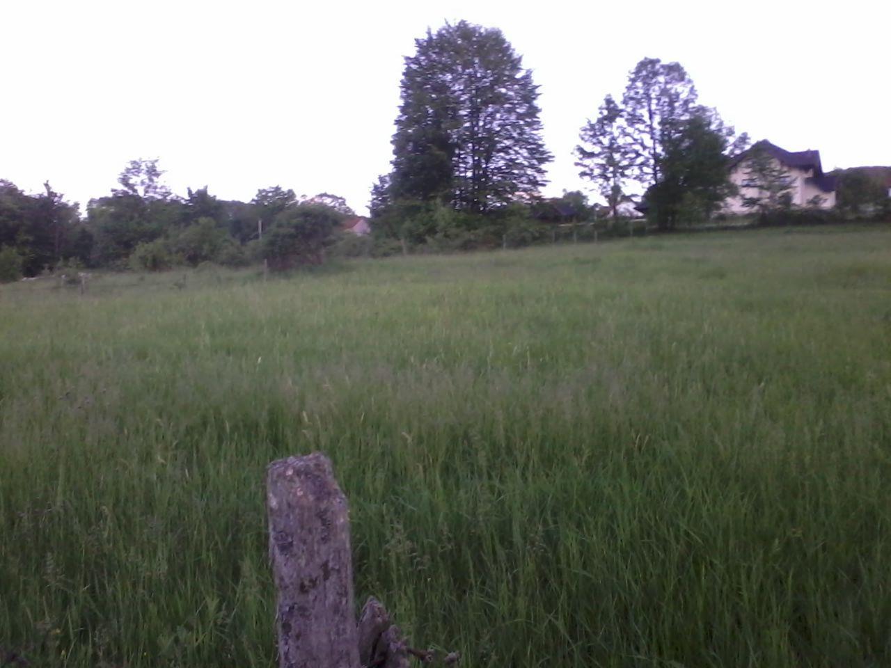 Plac-Zlatibor