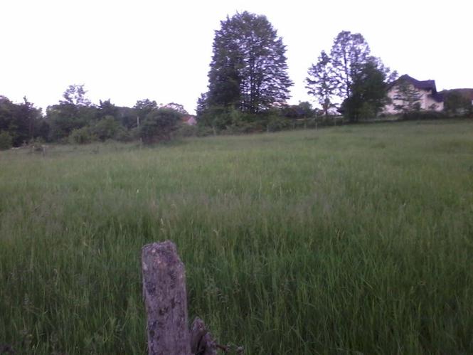Plac Zlatibor