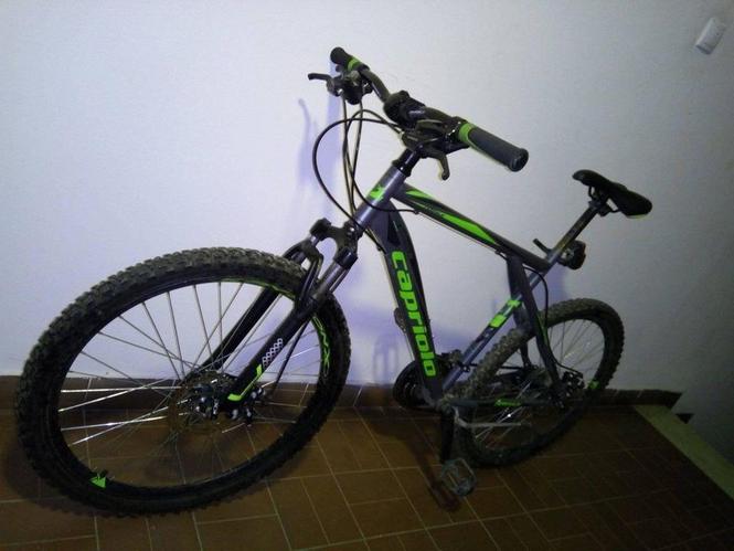 Capriolo Adrenalin