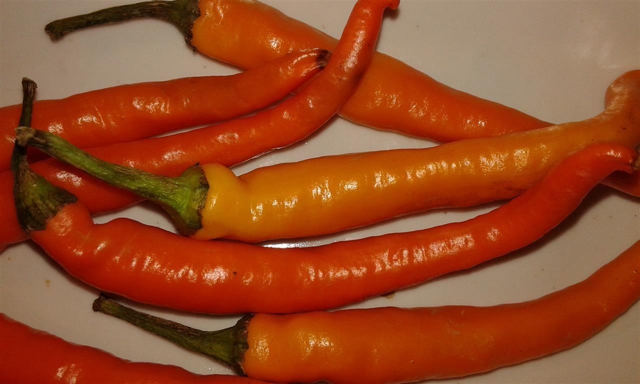 Bulgarian-carot-Chili
