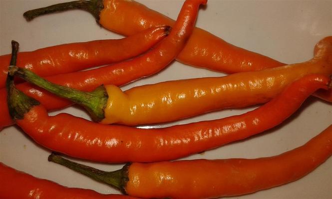 Bulgarian carot-Chili
