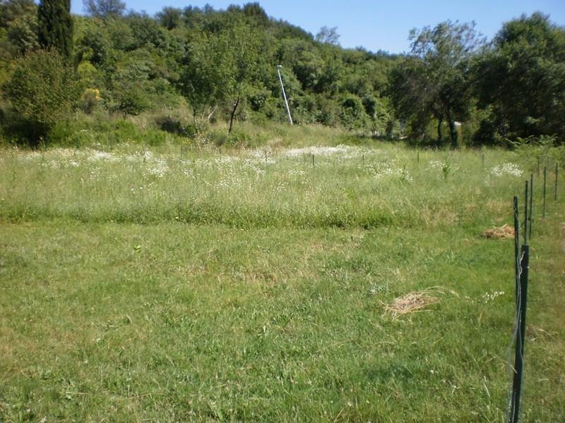 PLAC-U-IGALU
