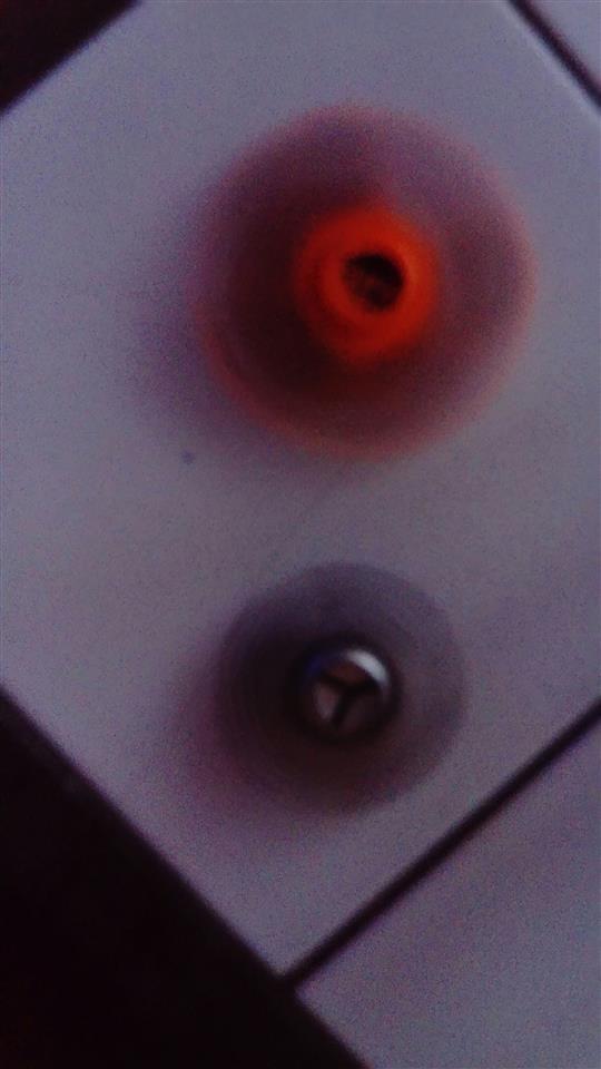 spineri