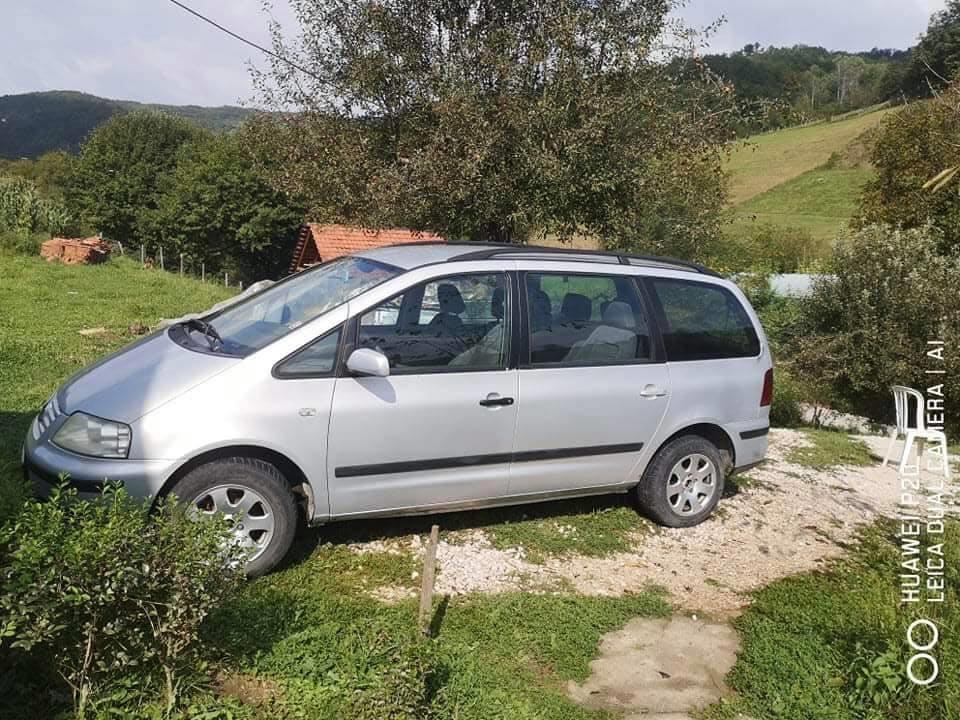 Šaran