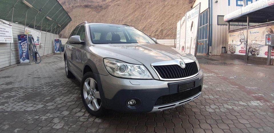 Skoda-Octavia-Schout