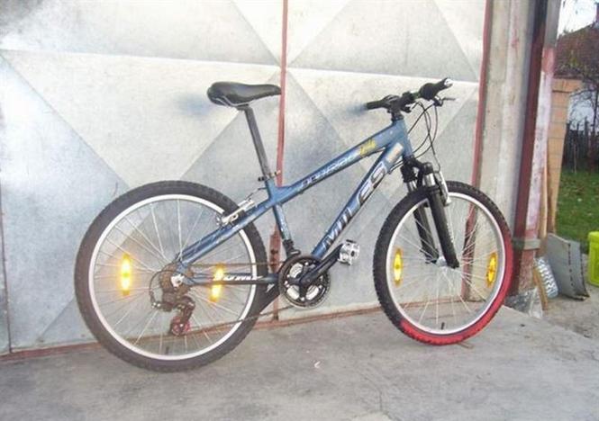 MTB Milles 24 cola