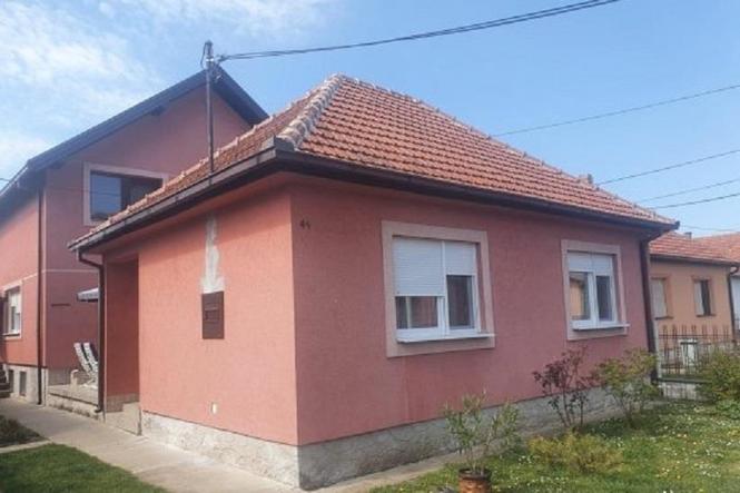 Dve kuce u Somboru