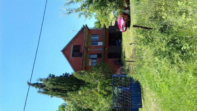 prodaja kuce