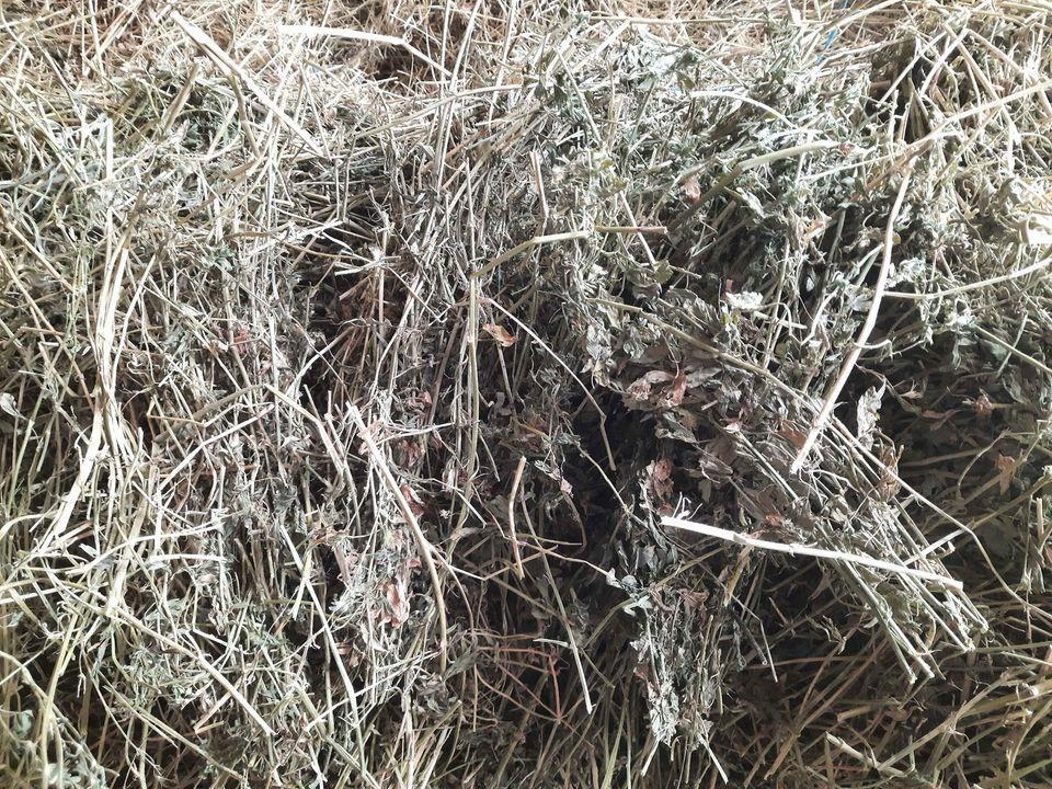 Bale-lucerke-0643059430