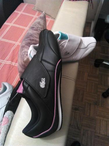 Patike Lacoste