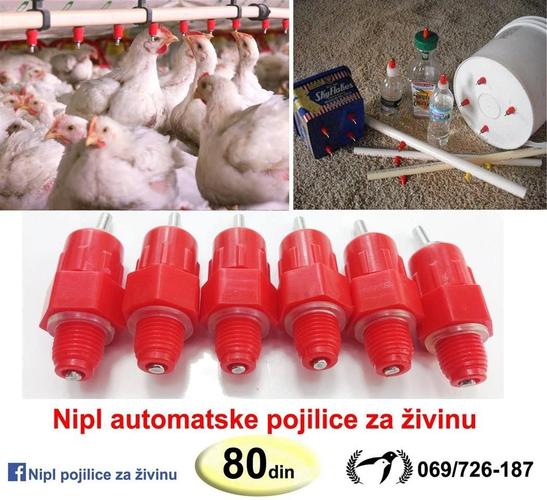 Automatske pojilice