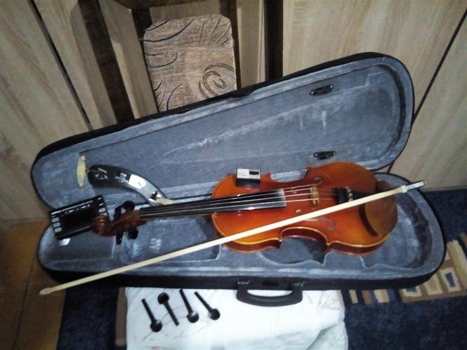 Violine