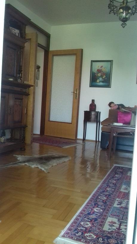 Stan-44m2-u-Beograd