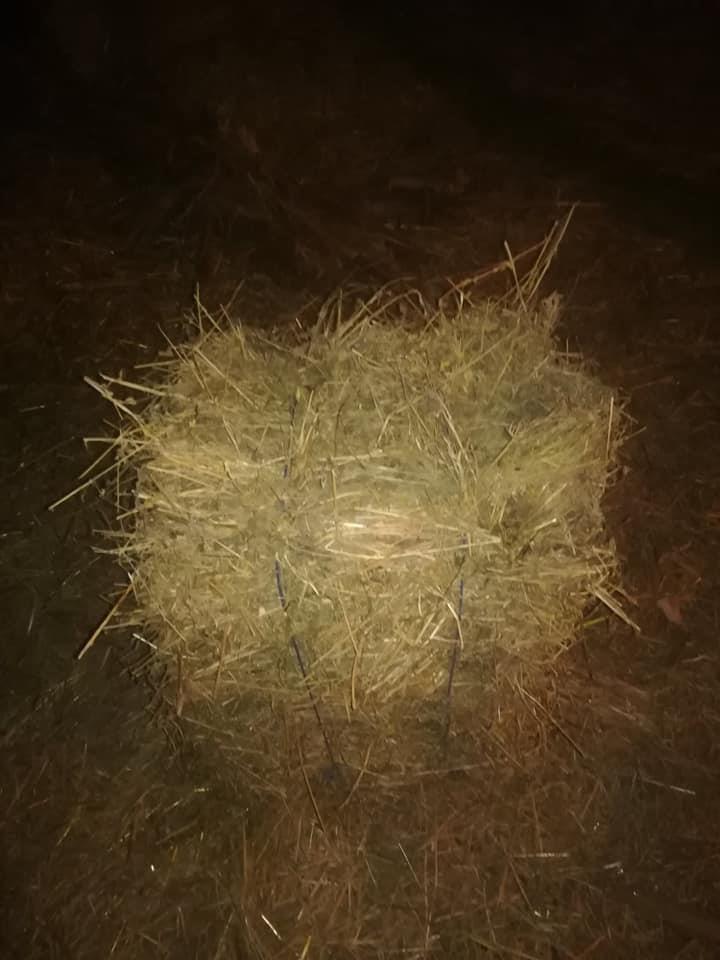 Balirano-seno
