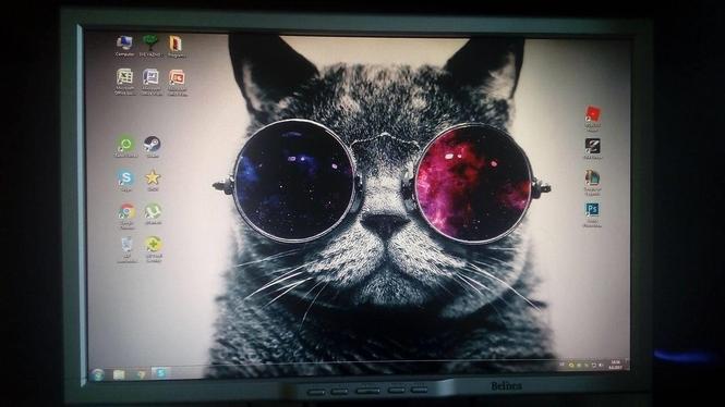MONITOR Belinea