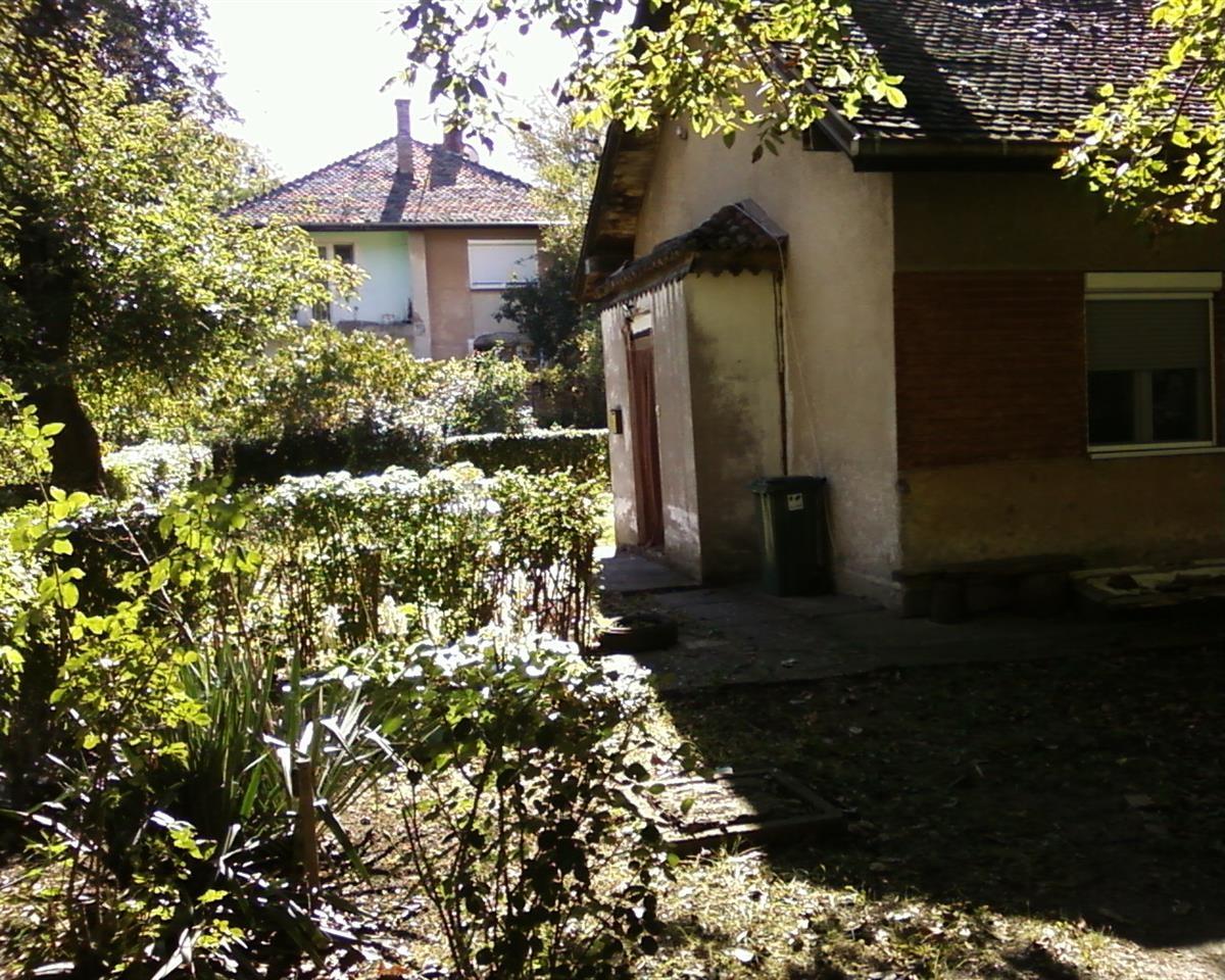 Prodajem-kucu-u-Zabeli