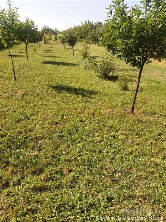 Vikendica Na Prodaju Marjanov Brod Zrenjanin 3 Zrenjanin