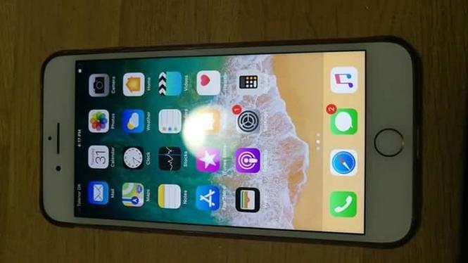 Apple 7 