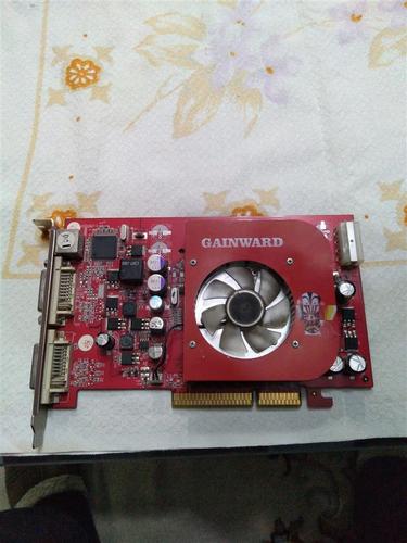 Graficka karta GAINWARD