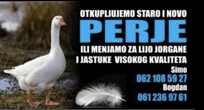 Otkup perja