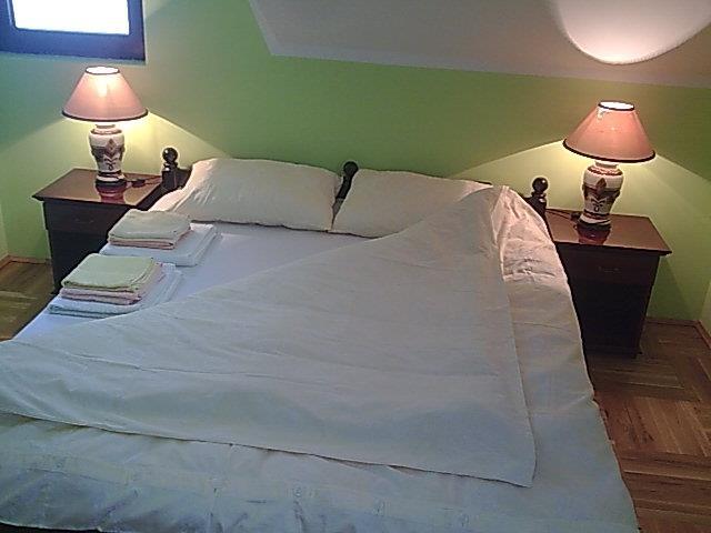 NOVA-VILA-130M2-NA-ZLATIBOR