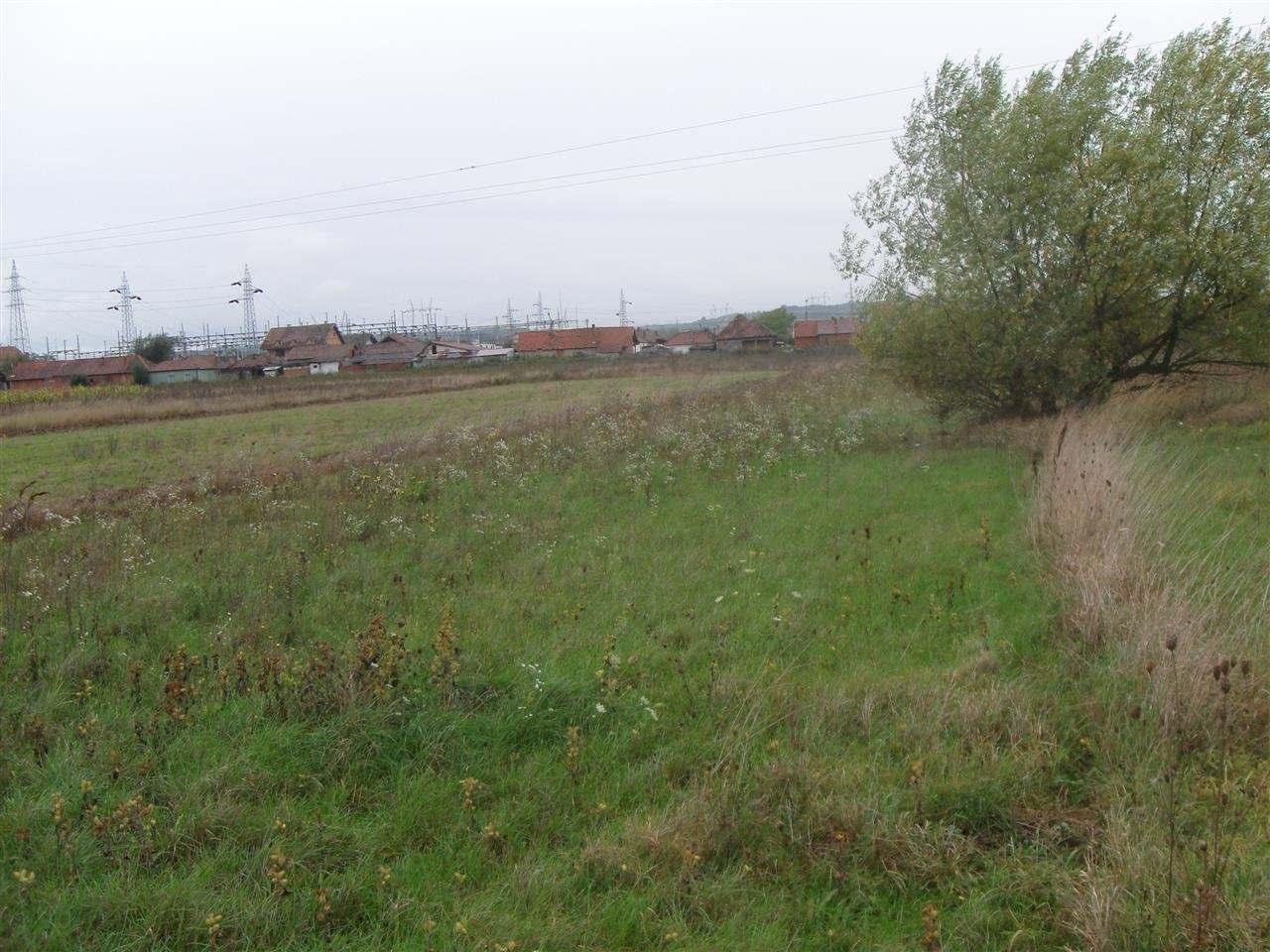 Plac-Citluk-Grstak