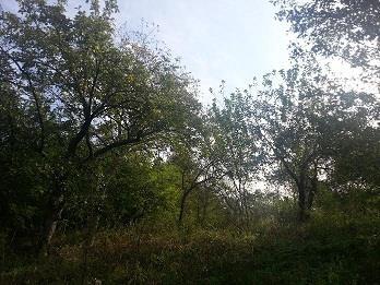 Kuca-u-Kragujevcu
